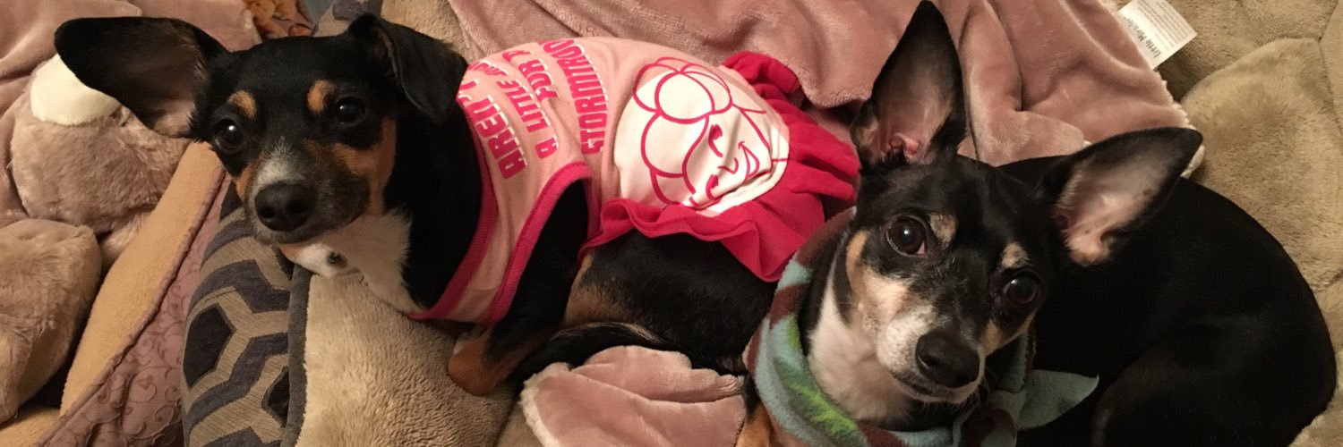 ShitPantsSays's profile banner image
