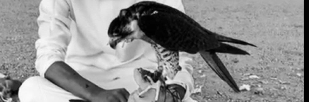 userrShibani's profile banner image