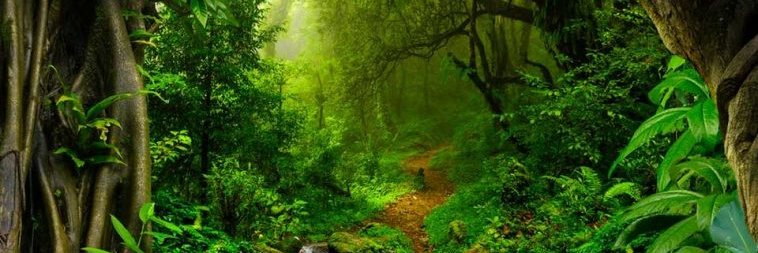 EcologisticsLtd's profile banner image