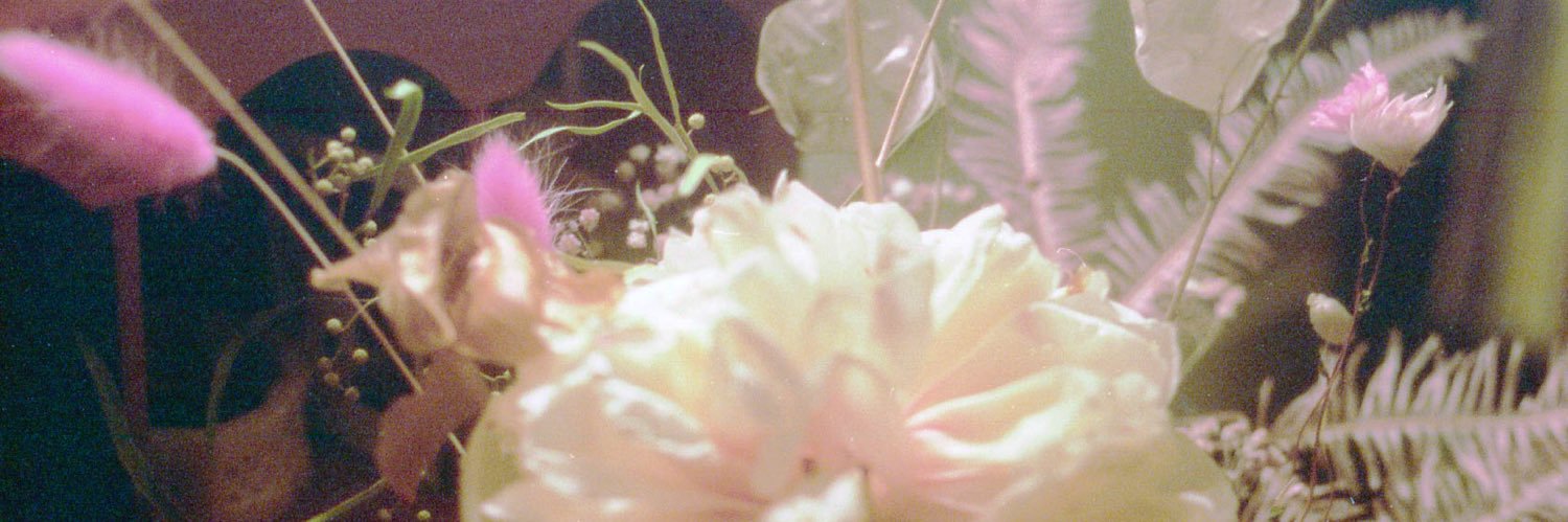 viiices's profile banner image