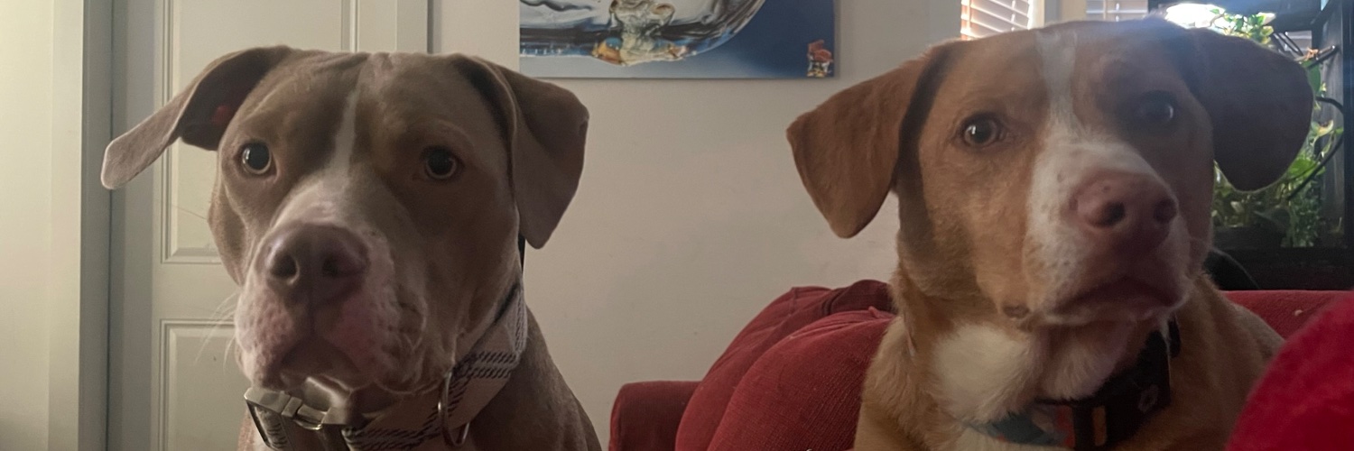 Jessika420_'s profile banner image