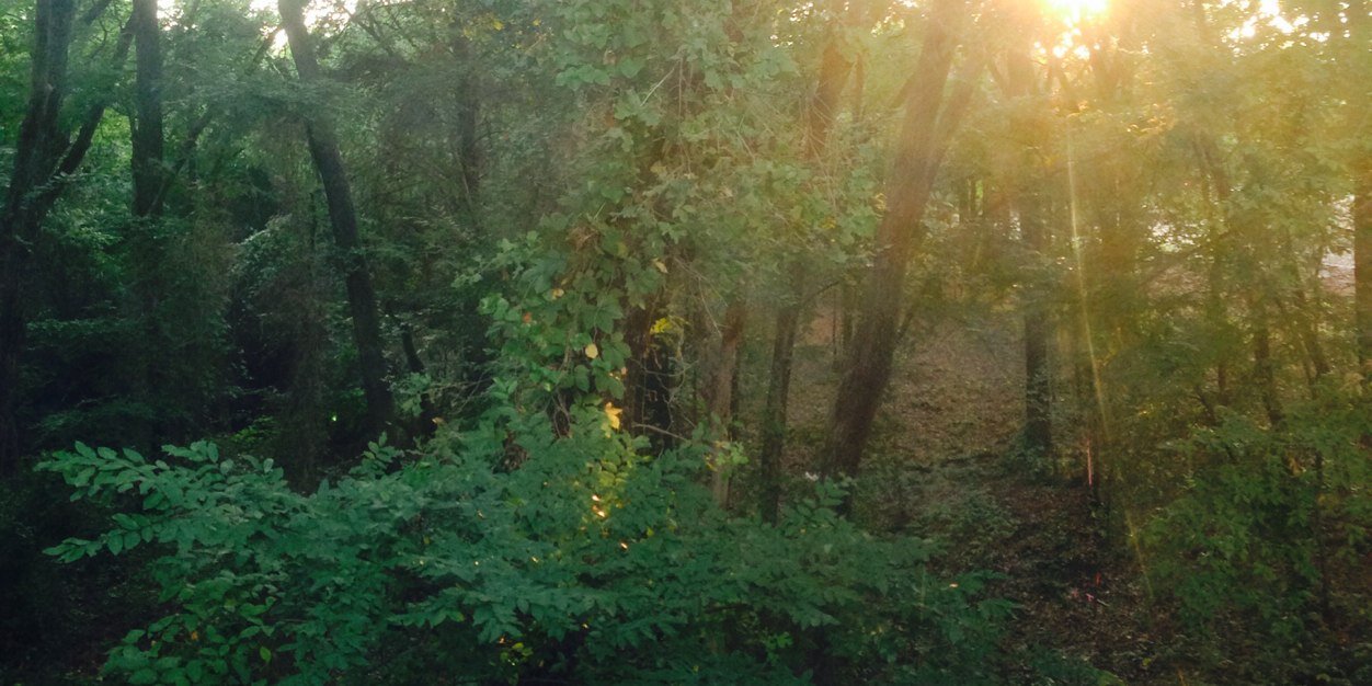 The_Bigbie's profile banner image