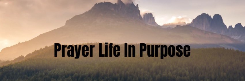 AMBER_HART_'s profile banner image