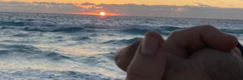paoCervera5's profile banner image