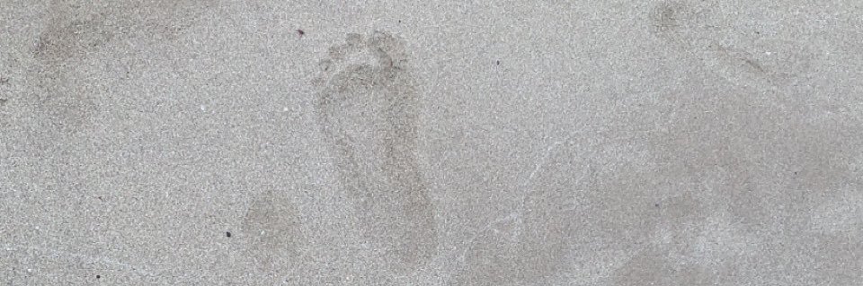 ifebrown_'s profile banner image
