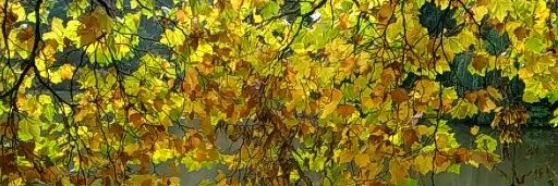 Best Bloggers 4 U banner