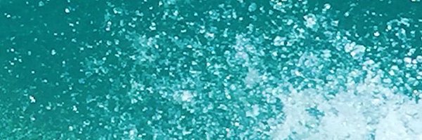 mrswagner4th Profile Banner