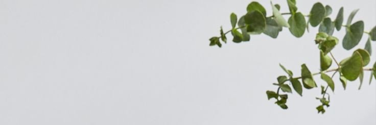 sheisay's profile banner image