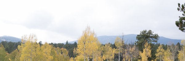 ColoradoPHM Profile Banner