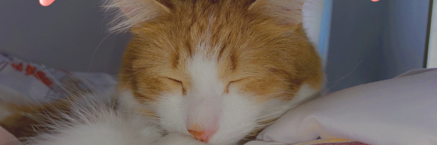 jenna lynn 💫 banner