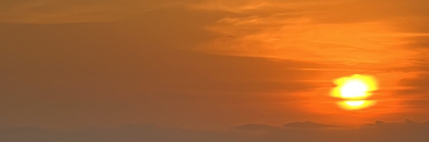 DesijoG's profile banner image