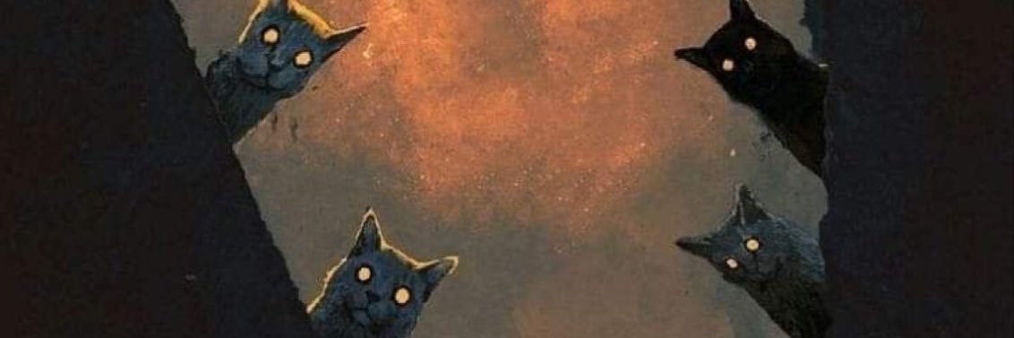 diskaangga's profile banner image
