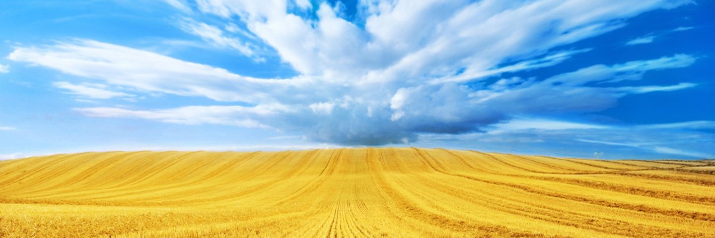🌈Homok 🇺🇦💻☕🚭 banner