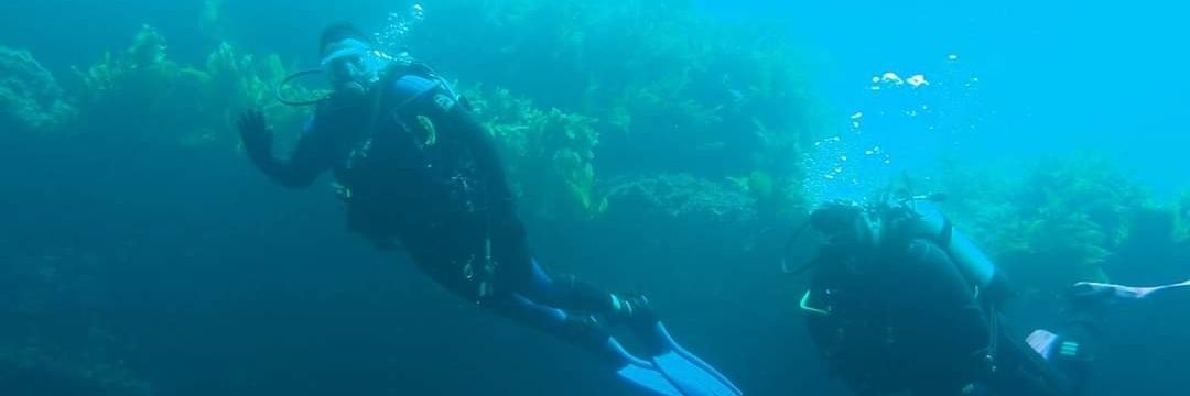 Steve Cartwright banner