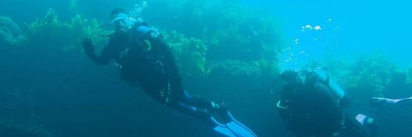 FX_Digital Profile Banner