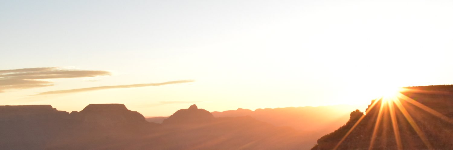 emilearouse's profile banner image