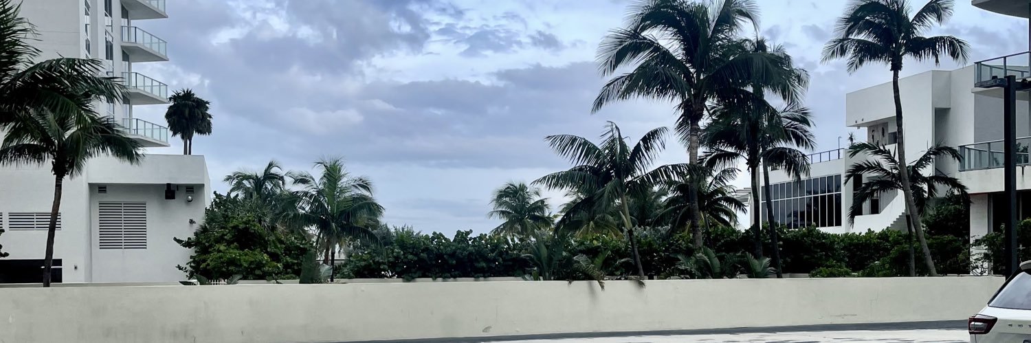 vikivarando's profile banner image
