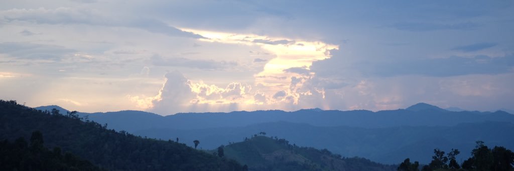 Mai Warit banner