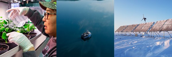 arcticfocus Profile Banner