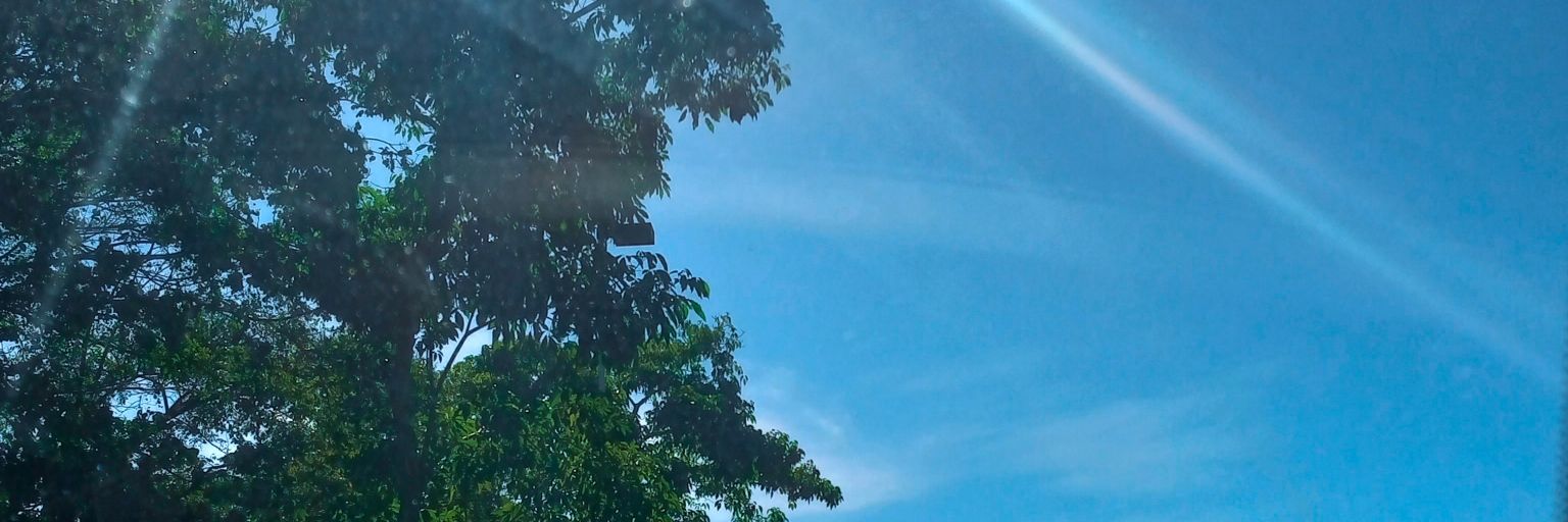 stachama's profile banner image