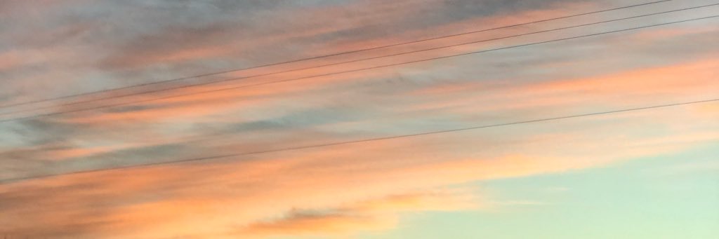 SarahRoy8610's profile banner image