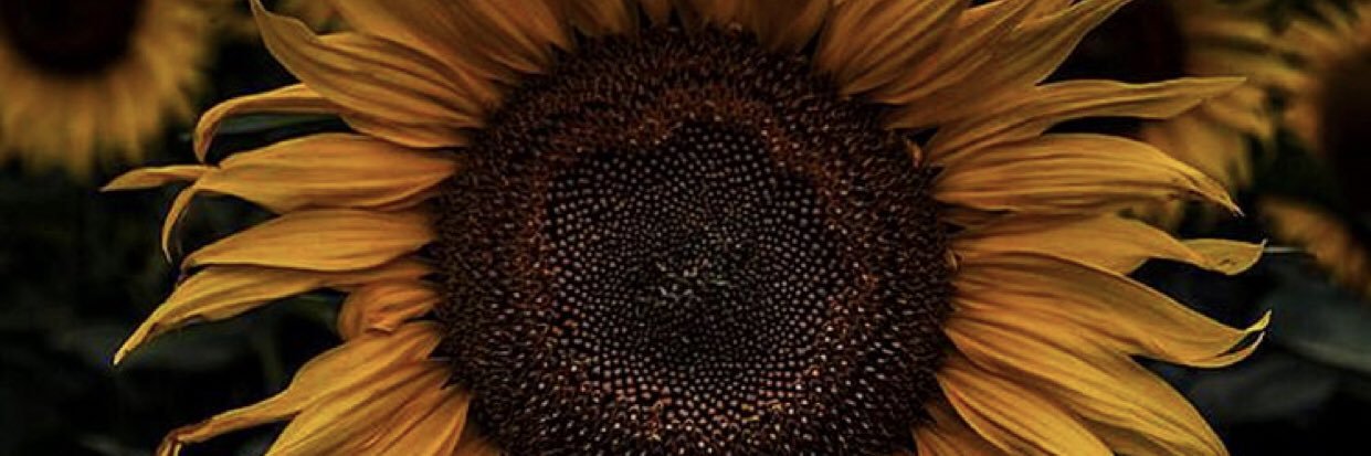 Rurbs725's profile banner image