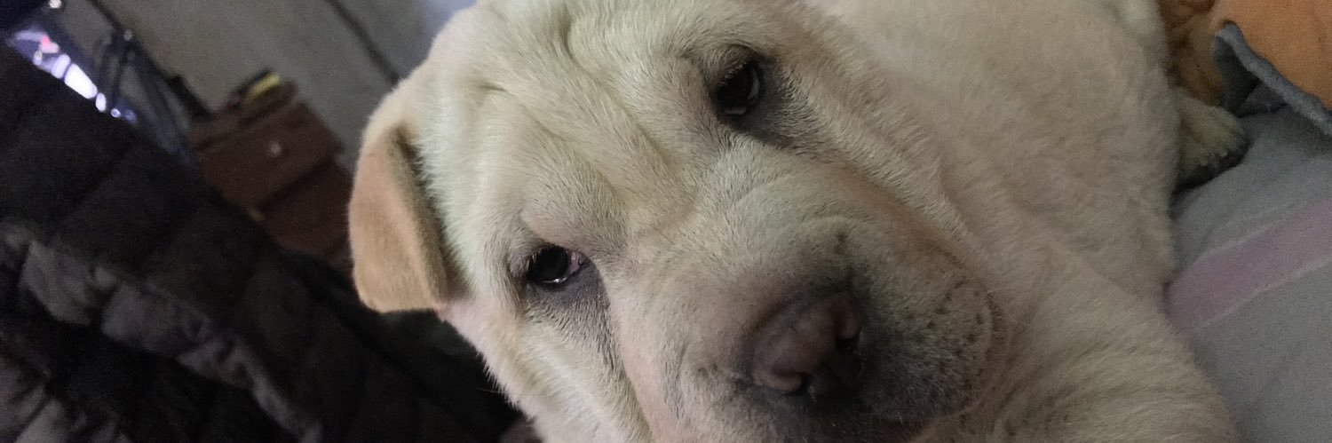 Alejandro Besta banner