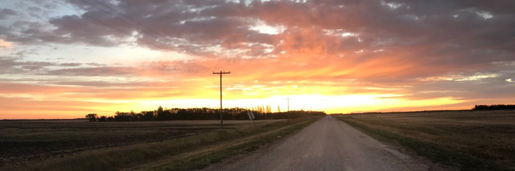 staceeophey's profile banner image