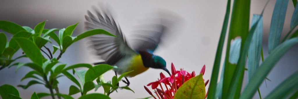 samirkulkarni's profile banner image