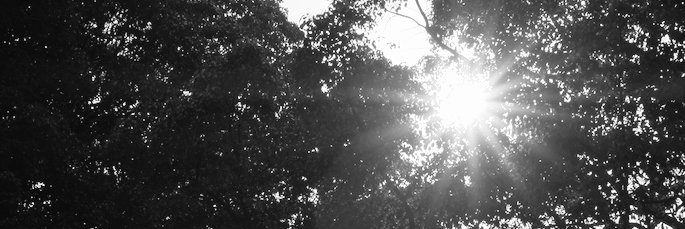 ファンその1 banner