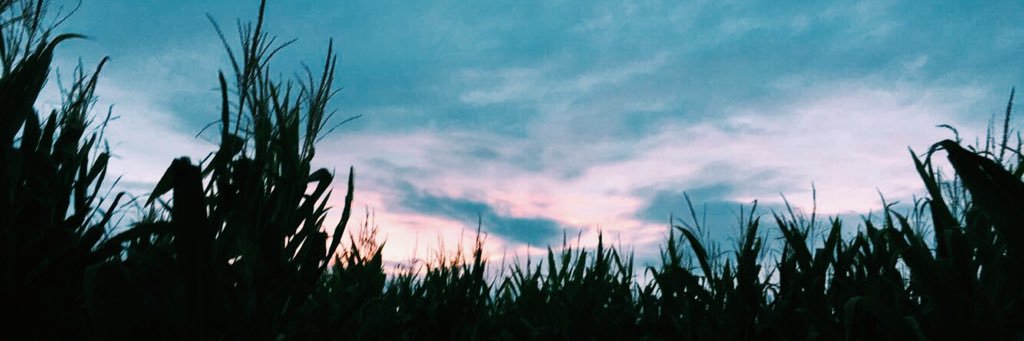 TaylerFischer's profile banner image