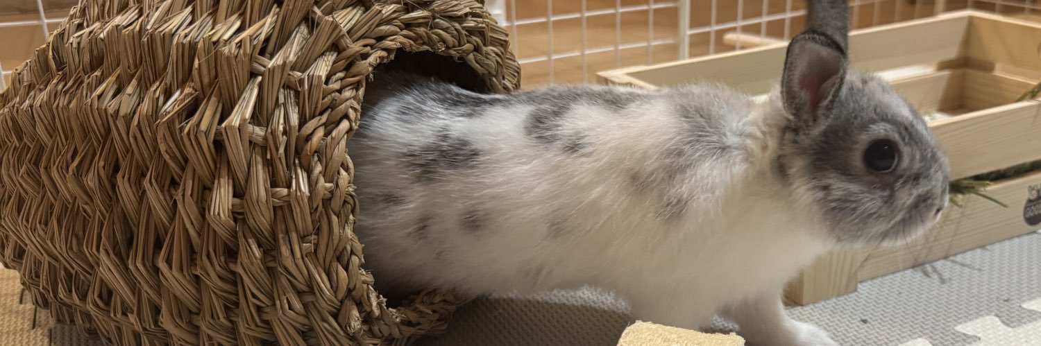 ちゃこたん☺︎🩵0mK2土 banner