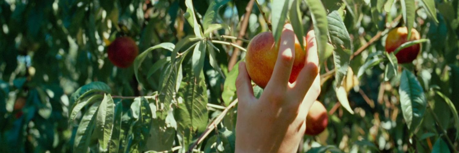 itskindaorange's profile banner image