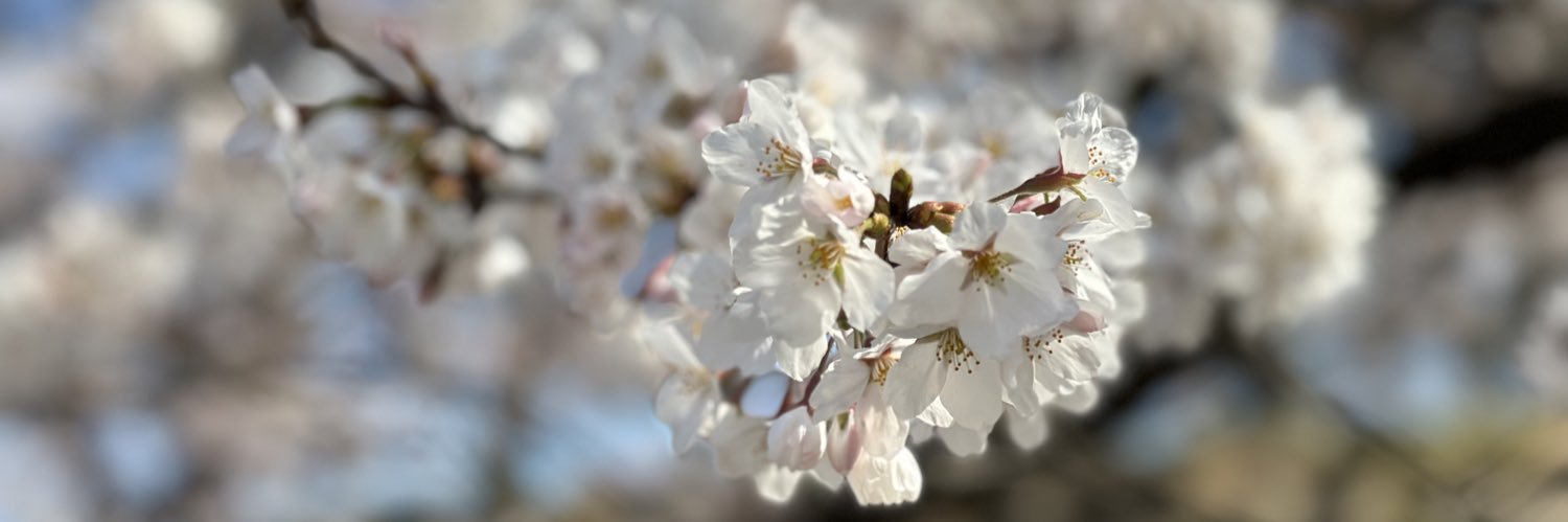 ユウキ🐾 banner