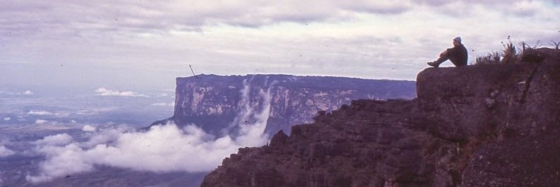FlordeLuna_'s profile banner image