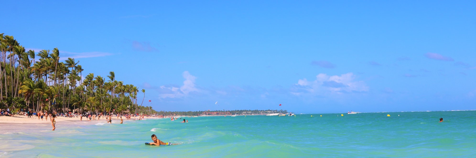 _RoseAnn's profile banner image