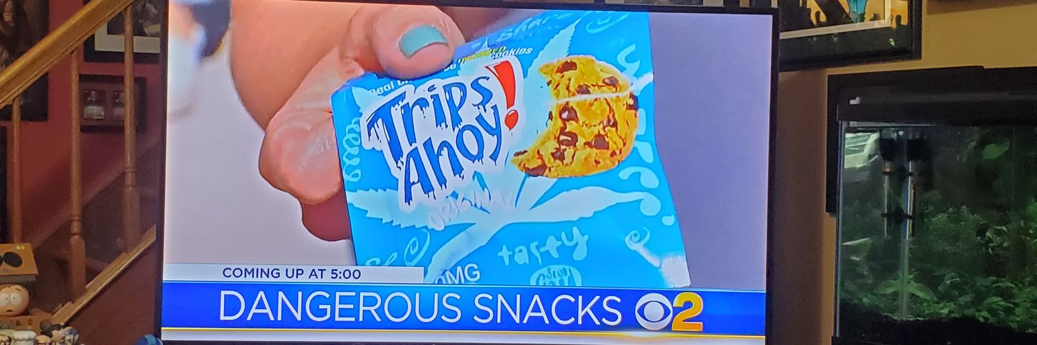 Trips Ahoy banner