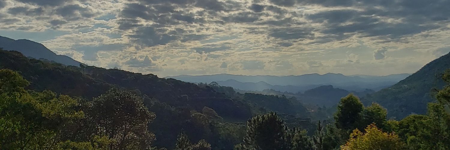JuBoardman's profile banner image