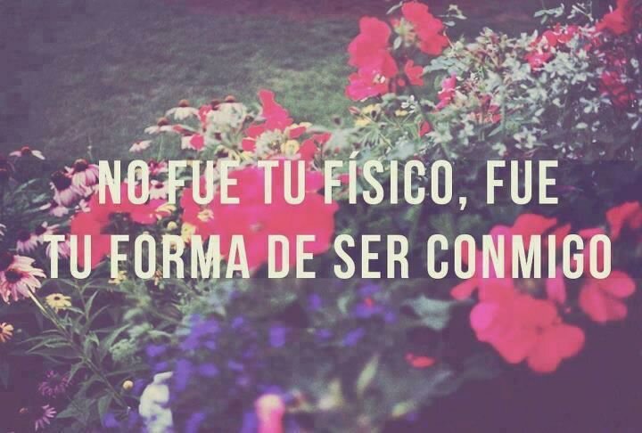Fernandagamez11's profile banner image