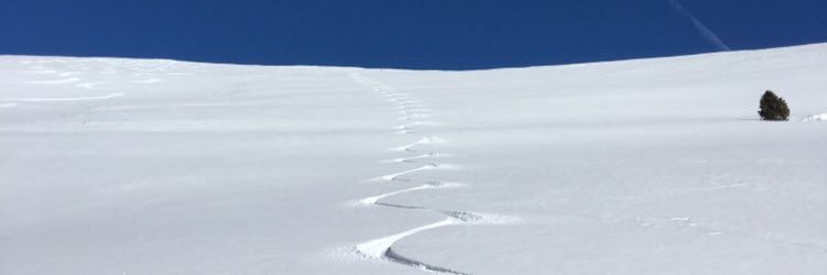 josh_orns's profile banner image