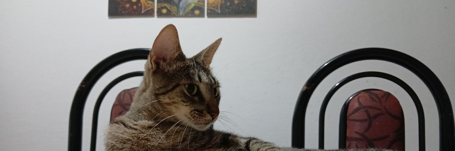 SnowWhiteOk1's profile banner image