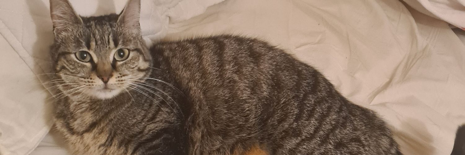 JackTenOfClubs's profile banner image