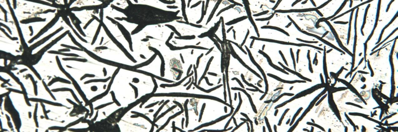 Eddie One-Kenobi banner