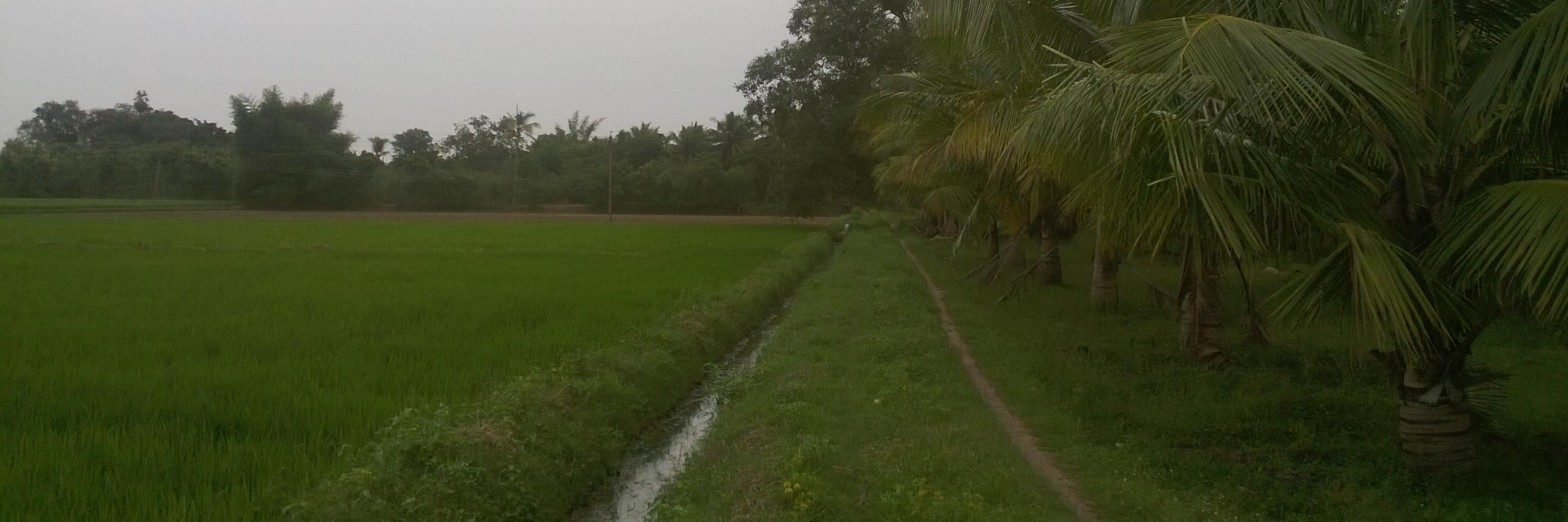 Mallikondar's profile banner image