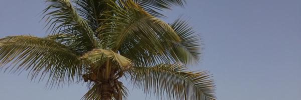 HashimNabulsi Profile Banner