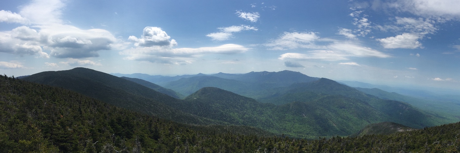 David "Bo" McClatchy, PhD banner