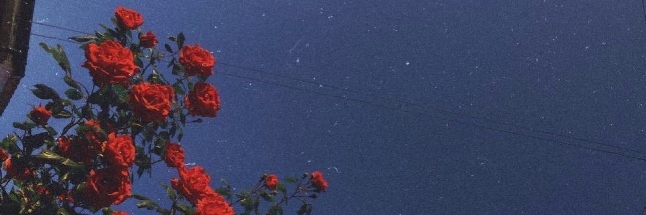 𝗧𝗵𝗶𝗿𝘆 banner