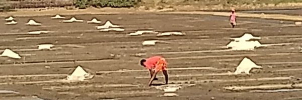 joydevivre_284 Profile Banner