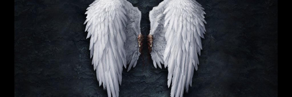 S_Eckelbarger's profile banner image