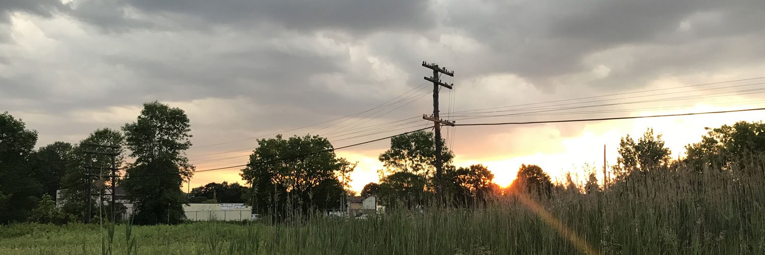 RicMoo (ricmoo.eth)'s banner